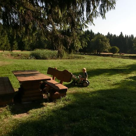 Apartament Kammbaude Neuhermsdorf Zewnętrze zdjęcie